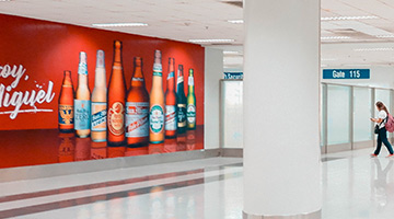 Indoor Wall Murals